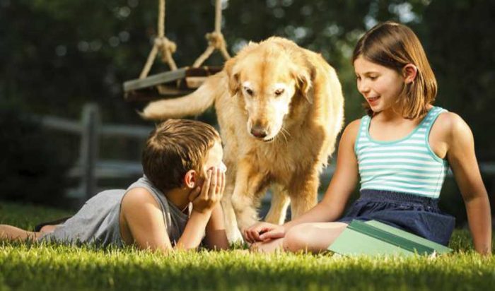 mosquito control in texas