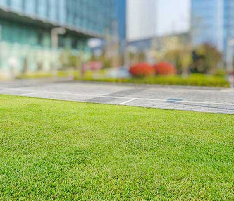 commercial-lawncare-texas