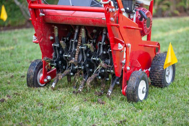 core aeration machine pulling soil plugs from texas lawn