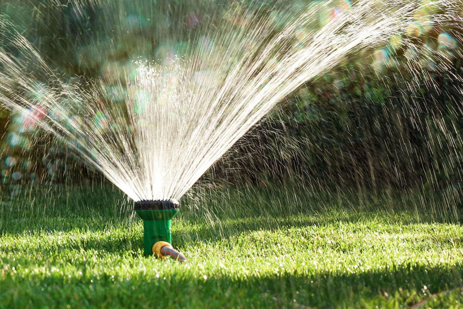 lawn watering recommendations, texas lawn care, lawn sprinkler, aggieland green