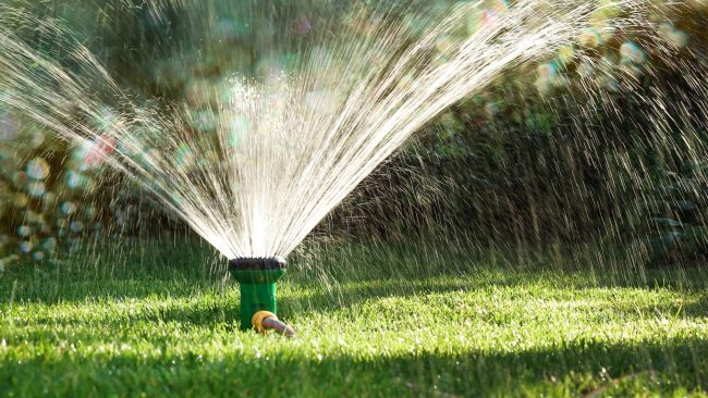 lawn watering recommendations, texas lawn care, lawn sprinkler, aggieland green