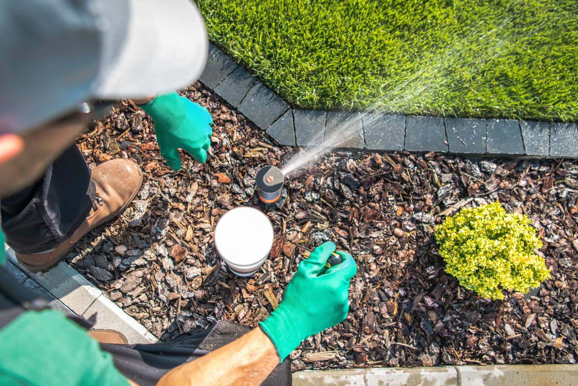 lawn watering recommendations, lawn irrigation, college station, aggieland green