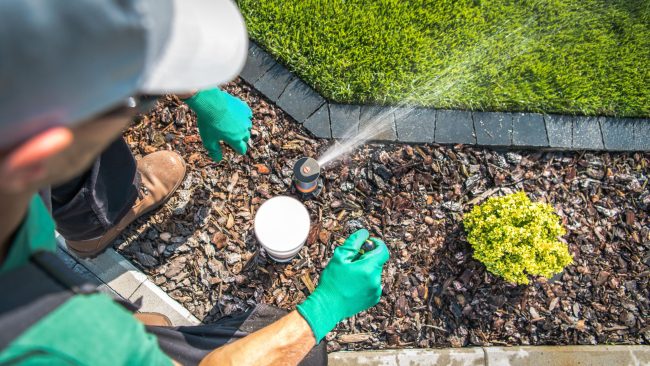 lawn watering recommendations, lawn irrigation, college station, aggieland green