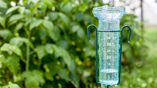 ALG – Weekly Watering Recs5.12 texas weather, rain gauge, lawn watering recommendations