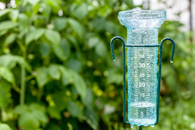 texas weather, rain gauge, lawn watering recommendations