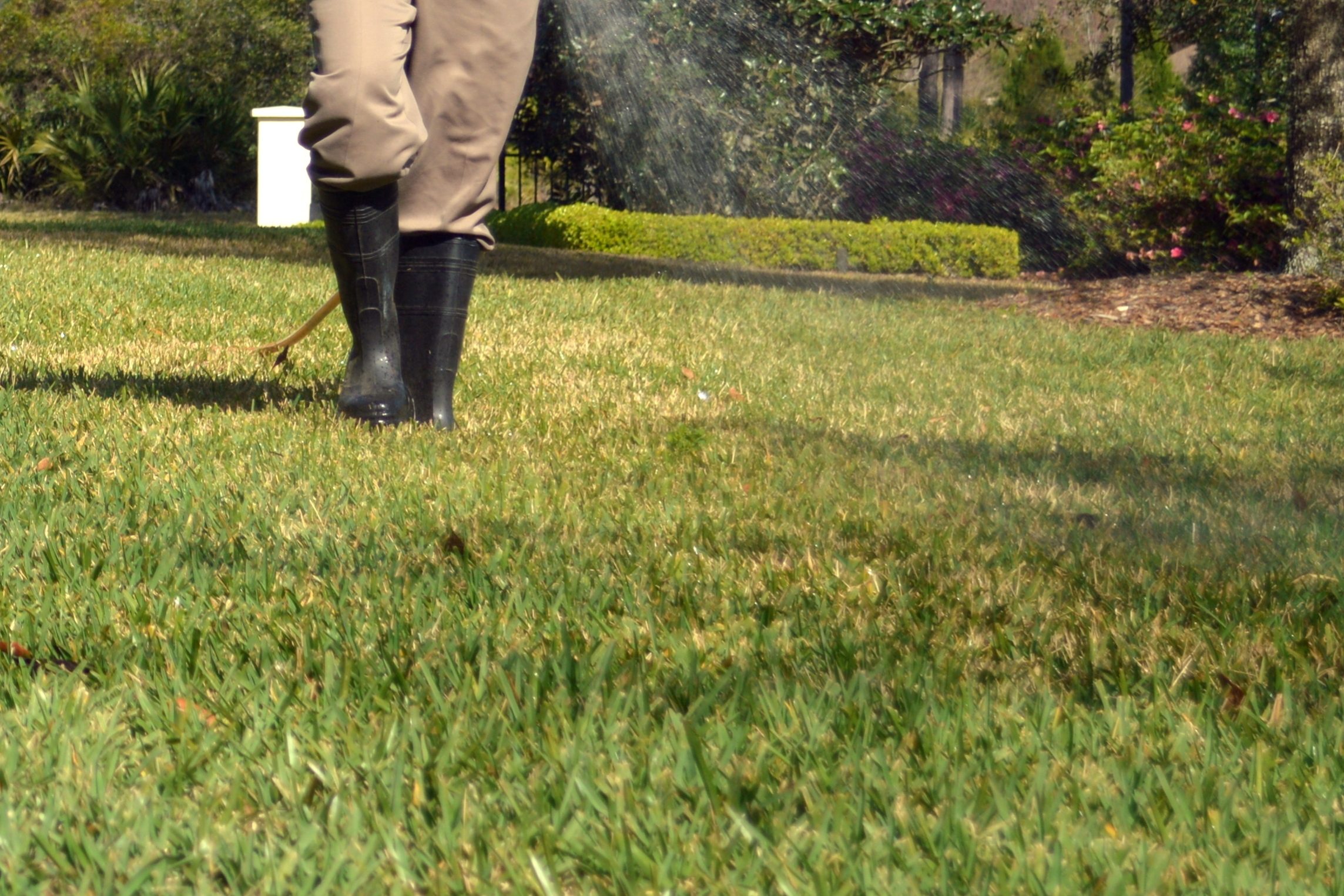 lawn spraying, lawn technician, houston lawn care, houston tx