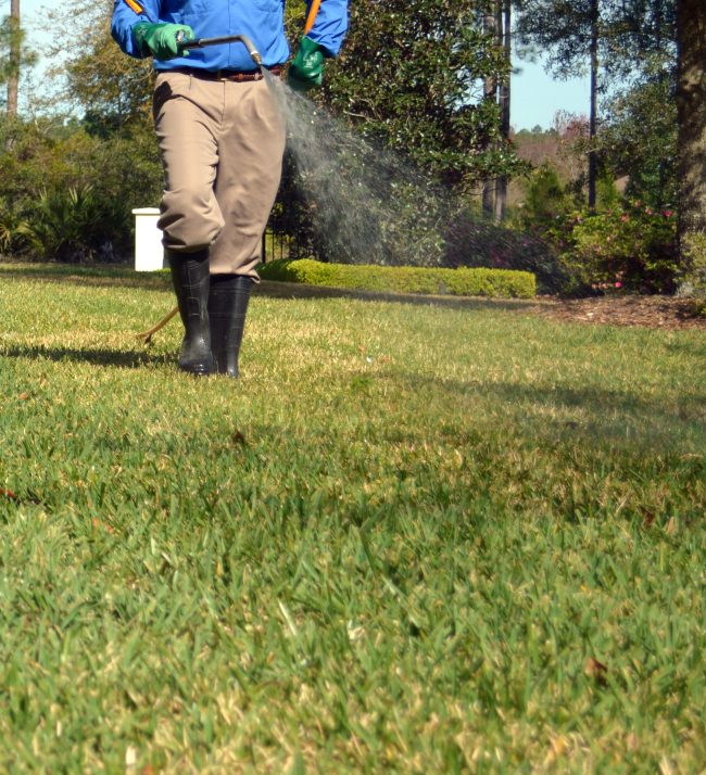 lawn spraying, lawn technician, houston lawn care, houston tx
