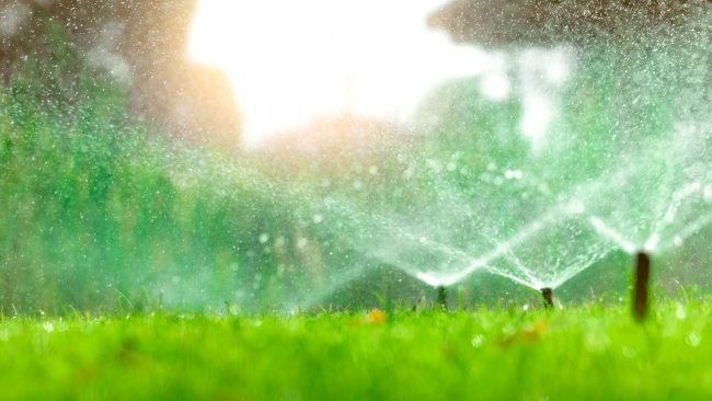 weekly watering recommendations, college station tx, lawn irrigation, aggieland green