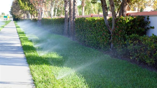 lawn sprinklers, lawn watering recommendations, texas tree watering