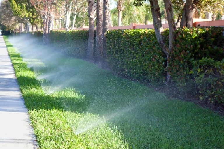 lawn sprinklers, lawn watering recommendations, texas tree watering