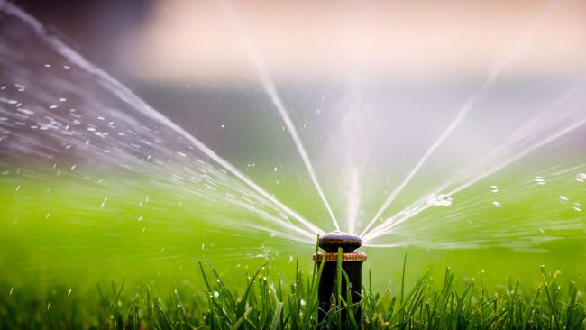 lawn sprinkler head, weekly watering recommendations, aggieland green