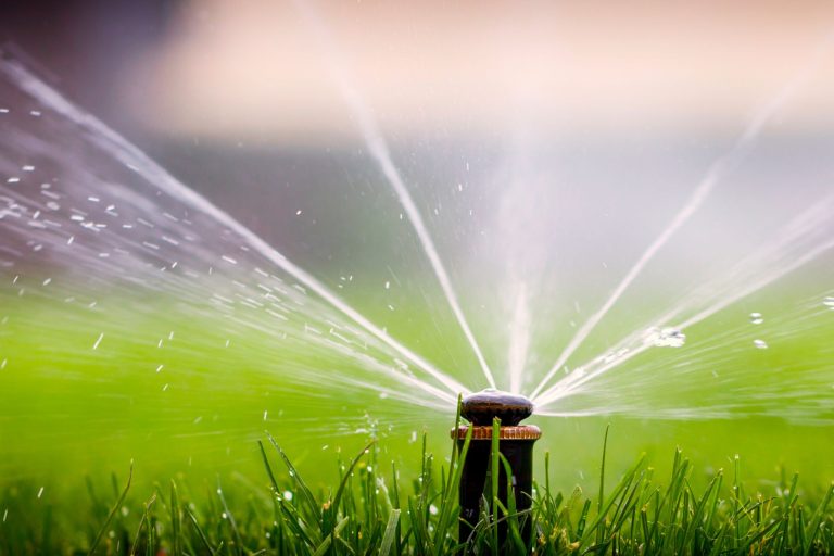 lawn sprinkler head, weekly watering recommendations, aggieland green