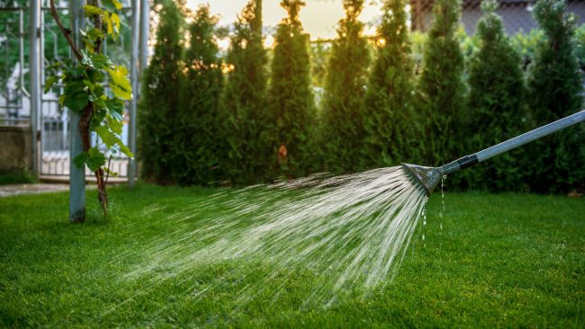 ALG – Weekly Watering Recommendations (3) lawn watering during summer, weekly watering recommendations in texas, aggieland green