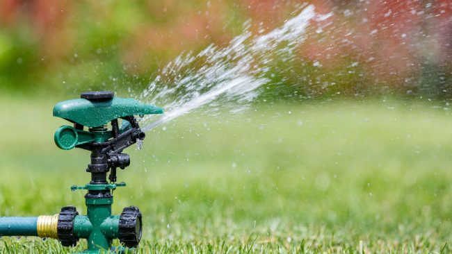 ALG – Weekly Watering Recommendations (8) lawn watering, sprinkler head, watering recommendations texas, aggieland green