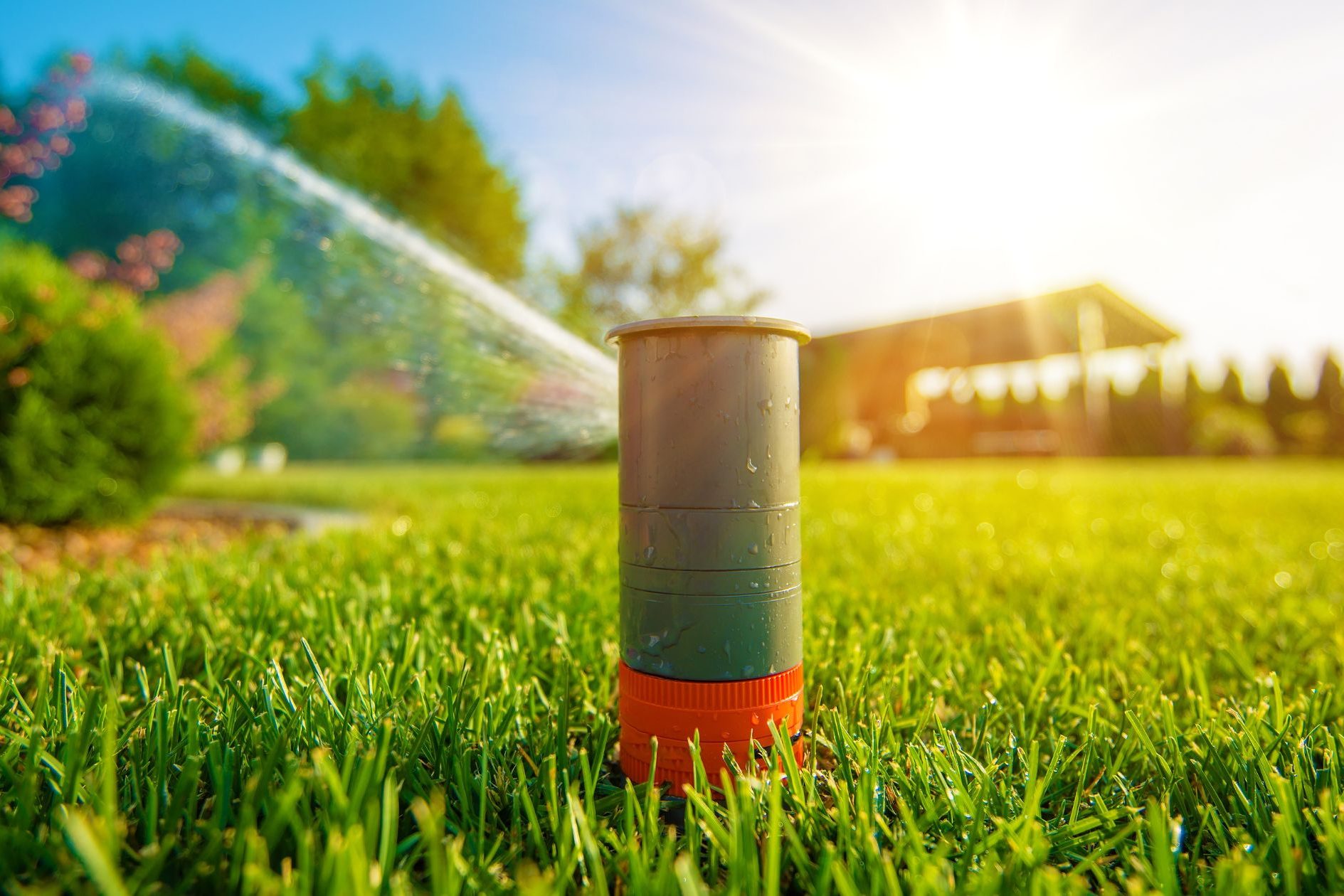 watering recommendations texas, lawn sprinkler head, aggieland green