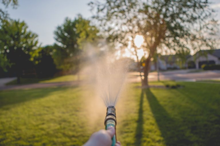 watering recommendations, lawn watering, aggieland green, college station tx