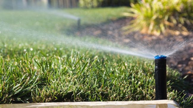 watering recommendations in texas, lawn sprinkler, aggieland green