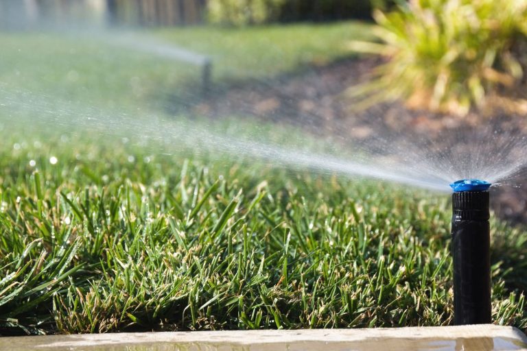 watering recommendations in texas, lawn sprinkler, aggieland green