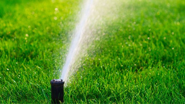 lawn sprinkler, lawn watering