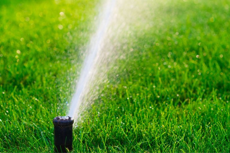 lawn sprinkler, lawn watering