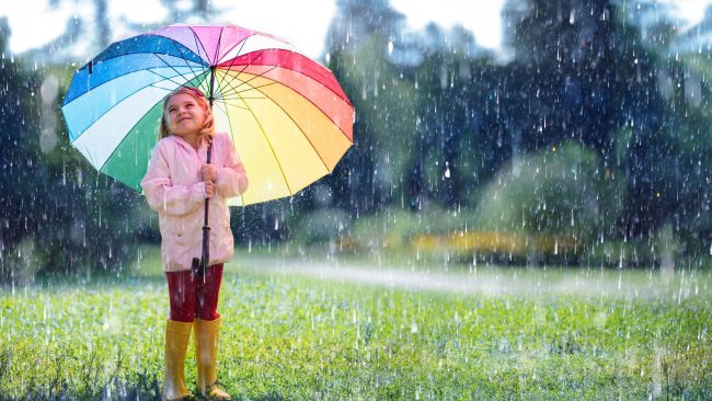 rainfall on lawn, texas watering recommendations, aggieland green
