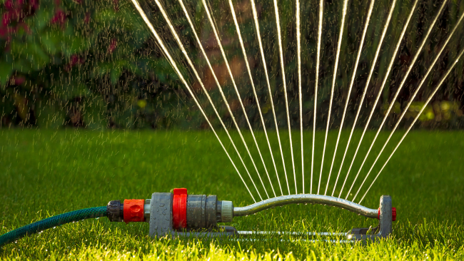 weekly watering recommendations, texas drought, aggieland green