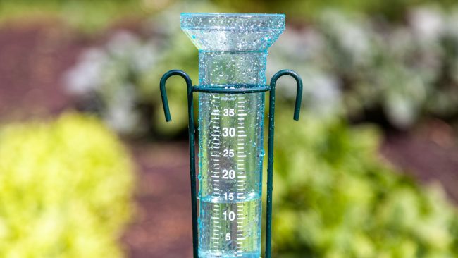 rain gauge, texas lawn watering