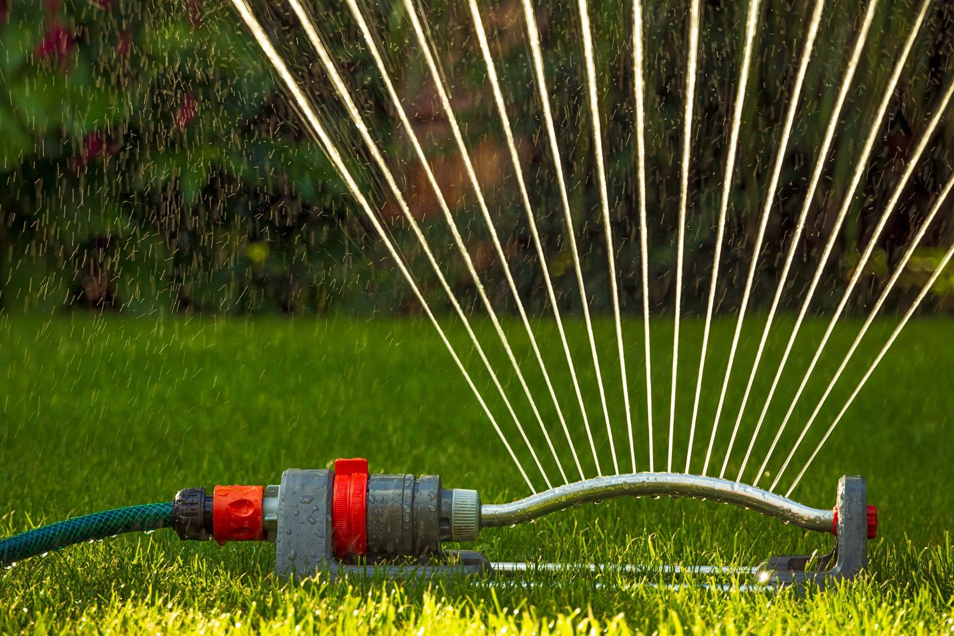 lawn sprinkler, watering recommendations