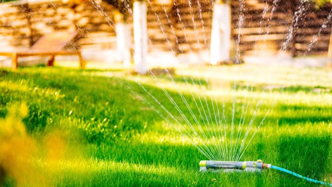 lawn watering in texas, lawn sprinkler