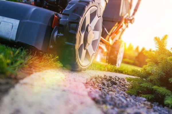 close up of lawn mower wheels, texas lawn care schedule