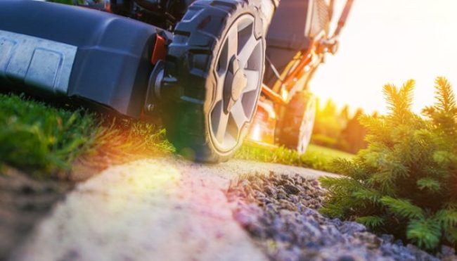 close up of lawn mower wheels, texas lawn care schedule
