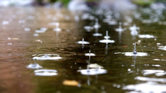 raindrops in a puddle