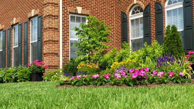 lush green lawn and flower beds in front of home
