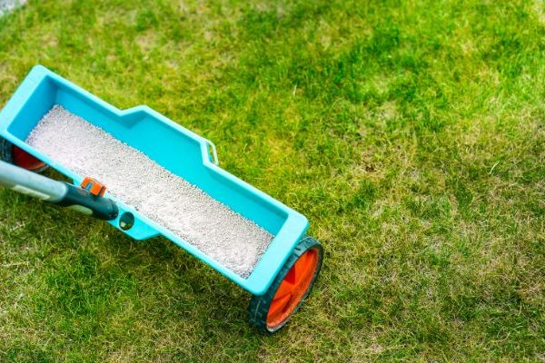spring lawn fertilizer spreader in green grass