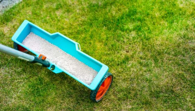 spring lawn fertilizer spreader in green grass