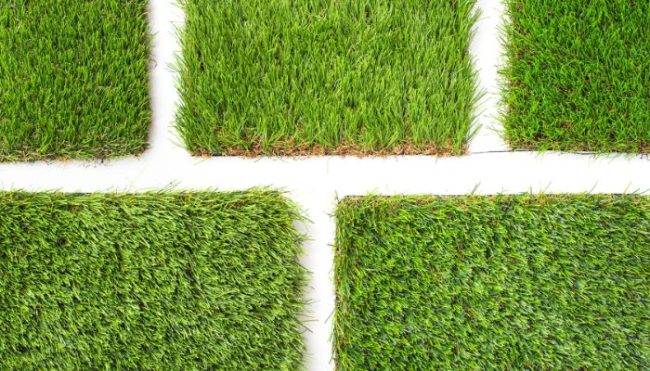 different types of grass in houston, square grass sod pieces