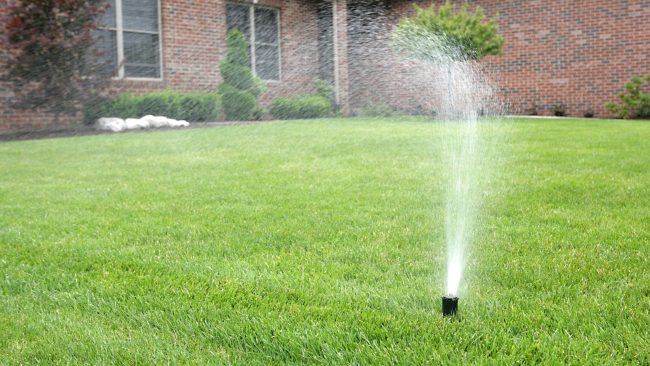 lawn sprinkler, lawn watering