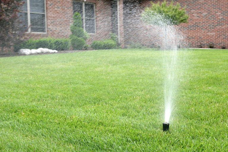 lawn sprinkler, lawn watering