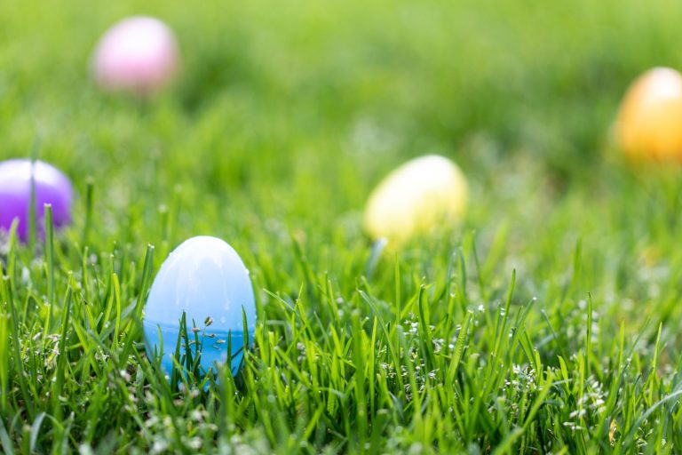 easter eggs in green lawn