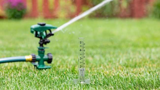 sprinkler in lawn with water gauge