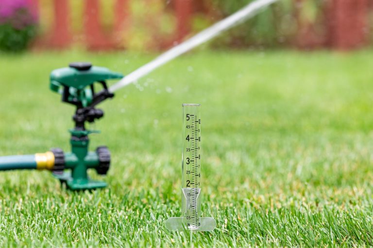 sprinkler in lawn with water gauge