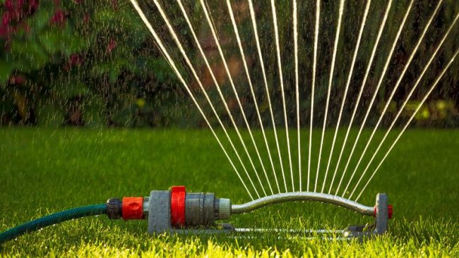 lawn sprinkler in texas lawn