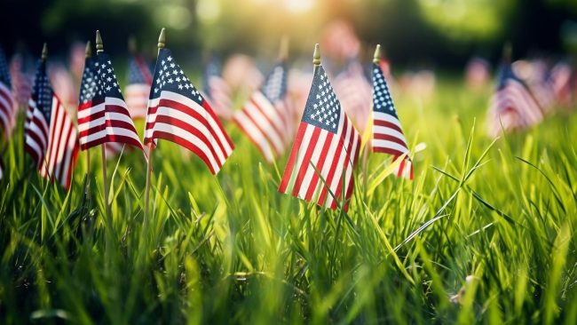 memorial day weekend, mini american flags in lawn