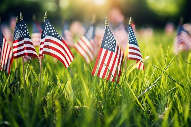 memorial day weekend, mini american flags in lawn