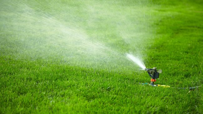 sprinkler watering green lawn