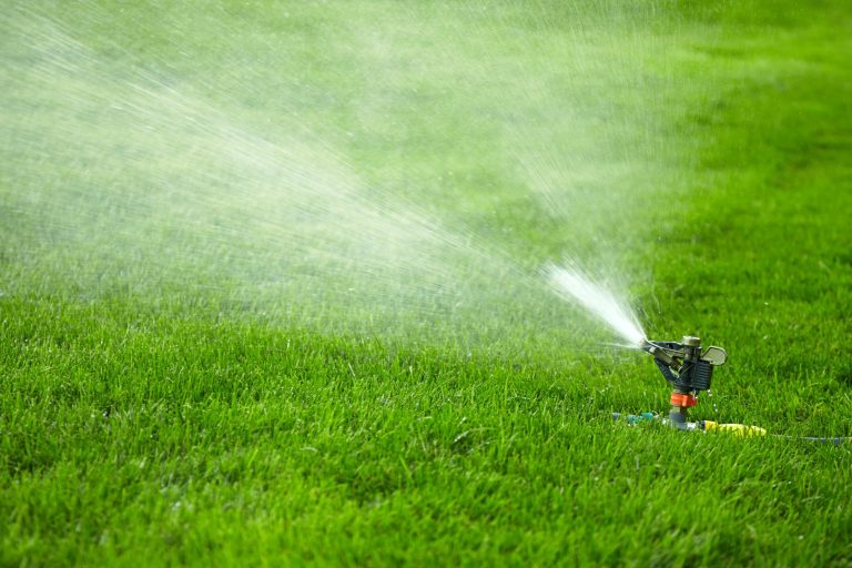 sprinkler watering green lawn