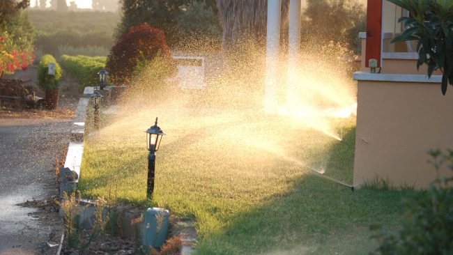 sprinklers watering lawn in the early morning sunrise