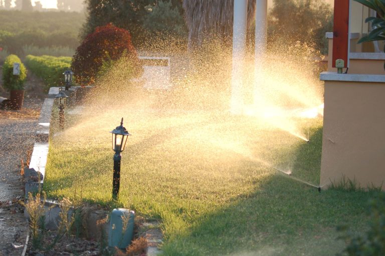 sprinklers watering lawn in the early morning sunrise